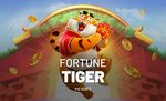 Baixar e instalar o aplicativo Fortune Tiger